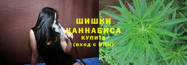 спайс Рославль