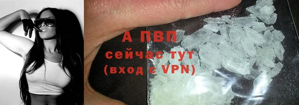 спиды Россошь