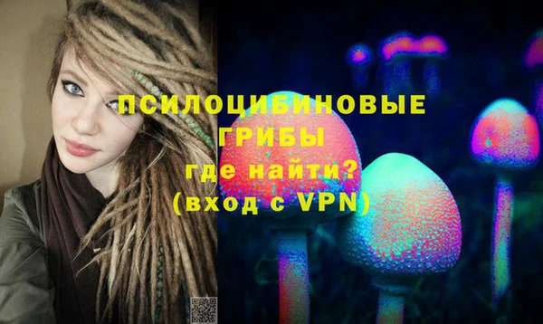 спайс Рославль
