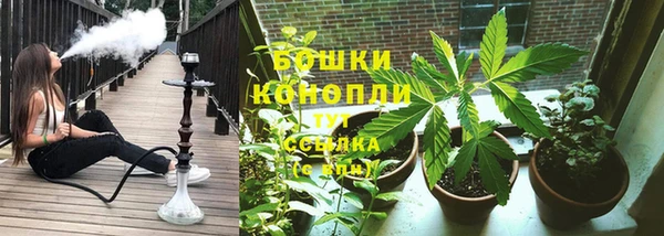 спайс Рославль