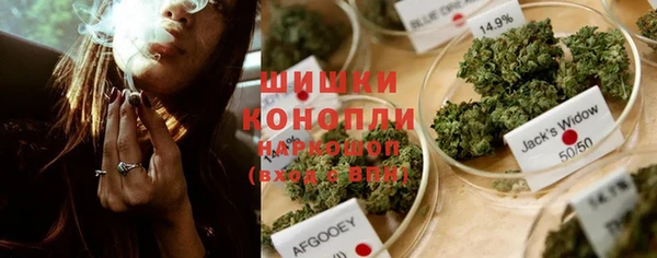 спайс Рославль