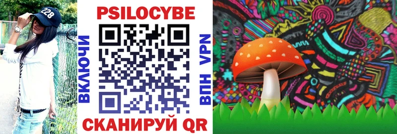 Галлюциногенные грибы Psilocybe  купить наркотики сайты  Шарыпово 