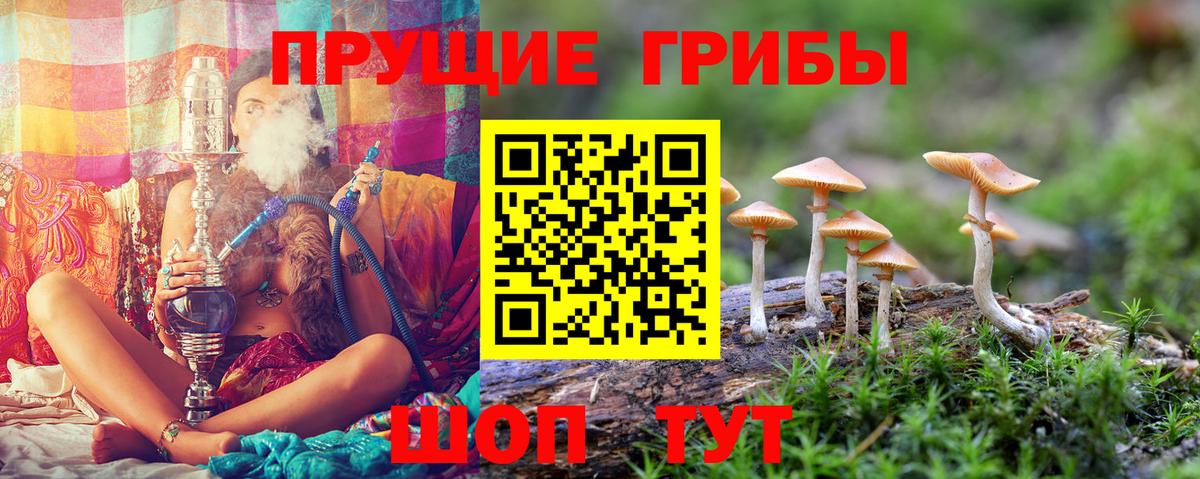 Галлюциногенные грибы MAGIC MUSHROOMS Шарыпово