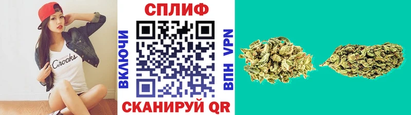 что такое наркотик  Шарыпово  Конопля семена 